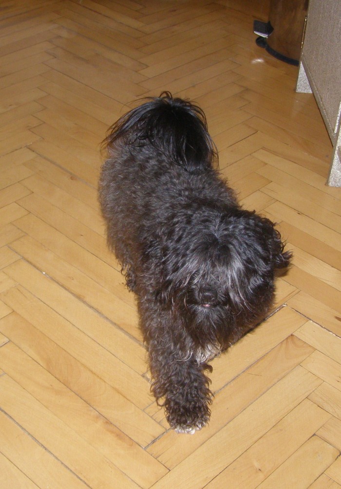 BAR-BAR.5.jpg
