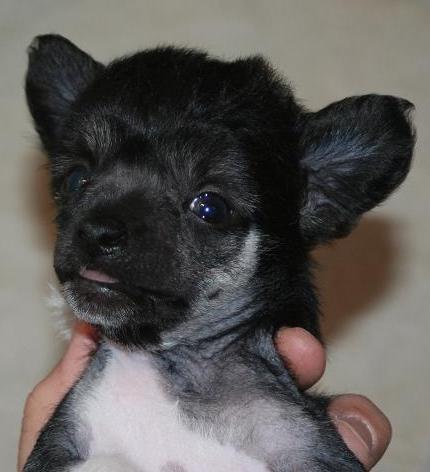 images/ettaler1.jpg